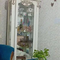 ویترین کاملا سالم