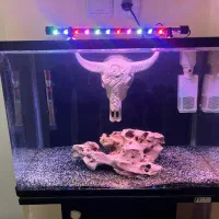 آکواریوم شیشه خم