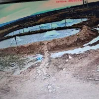 ماهی قزل آلا رنگین کمانی سر استخر