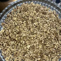 مغز گردو سفید امساله فیروزکوه