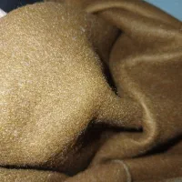 دورس داخل کرک|لباس|رودهن, |دیوار