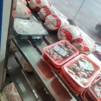 مرغ و گوشت پدیده|عمده‌فروشی|جهرم, |دیوار