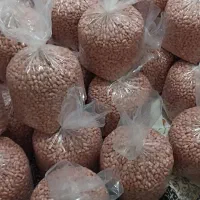 بادام زمینی آستانه اشرفیه  تازه و باکیفیت|خوردنی و آشامیدنی|تهران, امانیه|دیوار