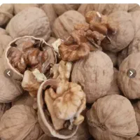 گردوی همدان