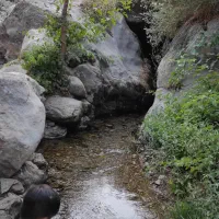 ا س ی ن م مال