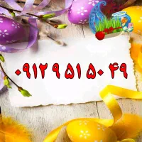 0912.4.33.22.11|سیمکارت|یزد, |دیوار