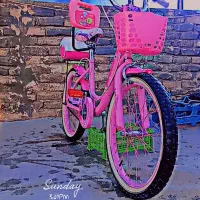 دوچرخه 20 دخترانه صورتی