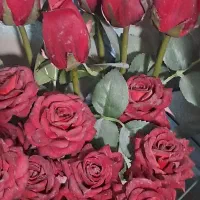 خدمات آرایشی