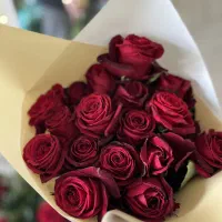 گل رز ولنتاین فقط شاخه ای ۹۵