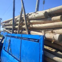 تخریب خانه و ساختمان خرید چوب خشک و تر نال حمل بار