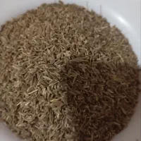 زیره اعلا سبز