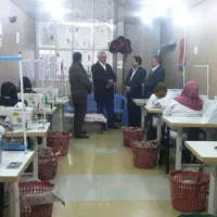 خیاط جیب دوز ، زیگزال ، گاند ، وسط کار