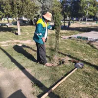 نیروی ساده فضای سبز