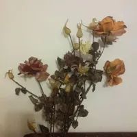 گل و گلدان|گل مصنوعی|ارومیه, |دیوار