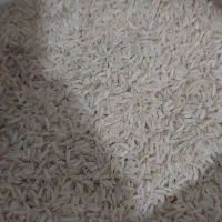 برنج هاشمی