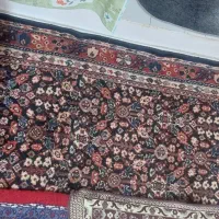 فرش دستباف|فرش|اراک, |دیوار