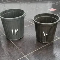 گلدان گلخانه ای نشا ارزان عمده اینترنتی|گل و گیاه طبیعی|رشت, بلوار گیلان|دیوار