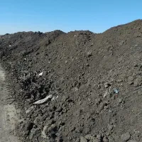 انواع کود حیوانی