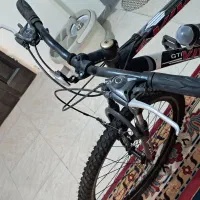 دوچرخه ۲۶ ویوا اصل تایوان|دوچرخه، اسکیت، اسکوتر|محمدشهر, ولدآباد|دیوار