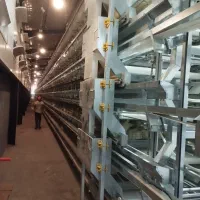 دعوت به همکاری|استخدام صنعتی، فنی، مهندسی|قم, آزادگان|دیوار