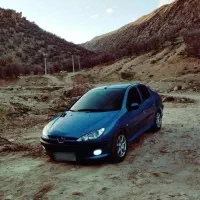 206 sd  v8|خودرو سواری و وانت|شیراز, ریشمک|دیوار