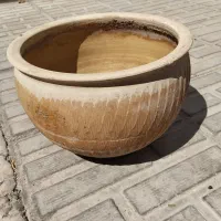 گلدان|گل و گیاه طبیعی|کرمان, |دیوار