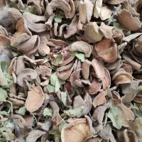 پوست بادام خوراک دام