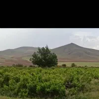 باغ و زمین کشاورزی