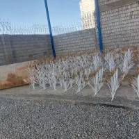حفاظ شاخ گوزنی