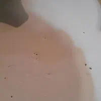 میز تلویزیون|میز تلویزیون|بومهن, |دیوار