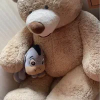 خرس بزرگ پولیش خارجی