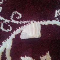 دو عدد سنگ قیمتی