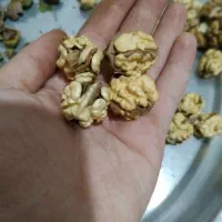 گردو کاغذی وسفید ۱۴۵۰۰۰