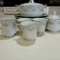 ظروف چینی