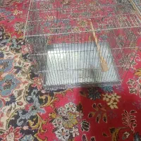 یک عدد قفس غلامی سایز۳