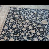 فرش|فرش|کرج, شاهین‌ویلا|دیوار