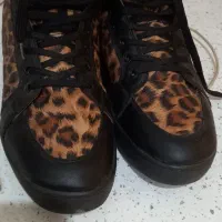 کتونی ساقه بلند  ۲ میلیون|کیف، کفش، کمربند|معمولان, |دیوار