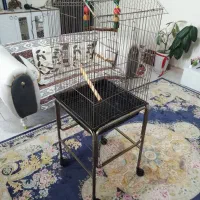 قفس پرنده