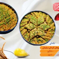 کمک حسابدار خانم