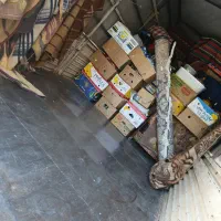 باربری حمل اثاثیه منزل با ماشین ایسوزو۶متری باکارگ|خدمات حمل و نقل|کرمان, |دیوار