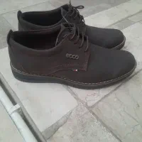 کفش نونو شماره چهل|کیف، کفش، کمربند|ساوه, |دیوار