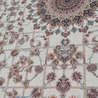 فرش|فرش|شاندرمن, |دیوار