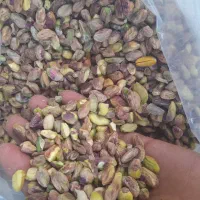مغز پسته مخصوص شیرپسته و داخل کار پاک شده|خوردنی و آشامیدنی|تهران, نیروی هوایی (پیروزی)|دیوار