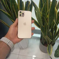۱۲پرو۲۵۶  نقد و اقساط
