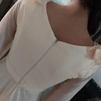 لباس مجلسی|لباس|ساری, |دیوار