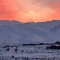 زمین و باغ روستای ورده