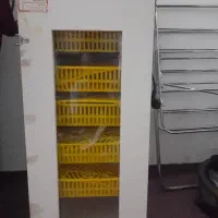 دستگاه جوجه کشی هدایت ۲۱۰تایی