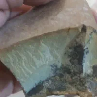 سنگ شجر|کلکسیون اشیاء عتیقه|اراک, |دیوار