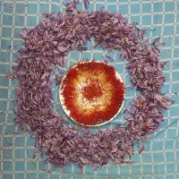 گوشواره گم شده