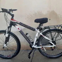 دوچرخه سایز ۲۹ ویوا